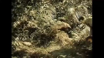 Trending view : The Jungle princess part 2