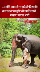 वनतारात 'महादेवी'चा 'कोल्हापुरी' थाट