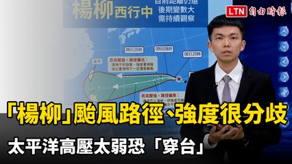 楊柳颱風路徑未定！高壓弱化恐穿台，最新預測全解析🌪️