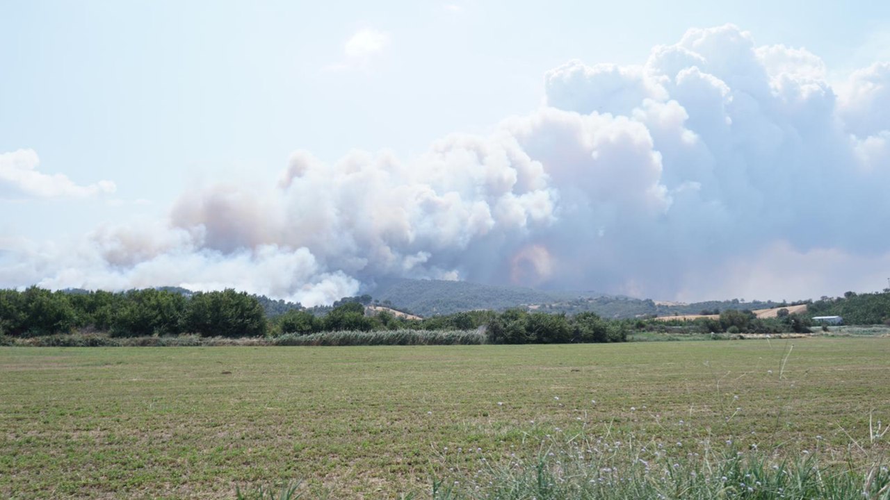 Çanakkale'de tarım arazisinde başlayıp ormana sıçrayan yangına müdahale ediliyor