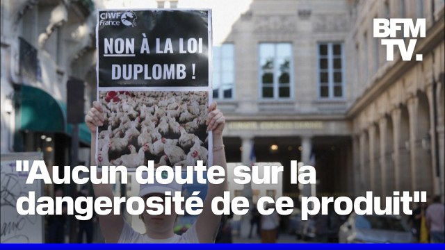Loi Duplomb: le Conseil constitutionnel censure la réintroduction de l'acétamipride