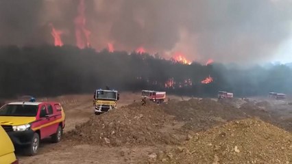 프랑스 75년 만에 최악 산불...파리 1.5배 면적 잿더미로 / YTN