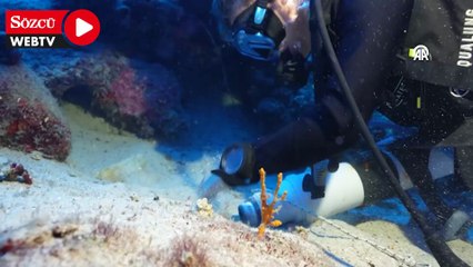 Kaş açıklarındaki batıkta 1100 yıllık cam koku şişeleri bulundu