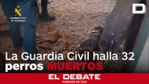 La Guardia Civil halla 32 perros muertos por desnutrición en una finca de Badajoz