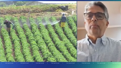 MiAmbiente explica que el nuevo plan de manejo del Parque Nacional Volcán Barú sigue en evaluación