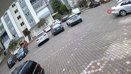 Yavru kediler aslan kesildi! Eve kendini zor attı!