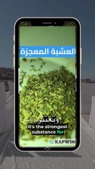 Design sans titre (8)