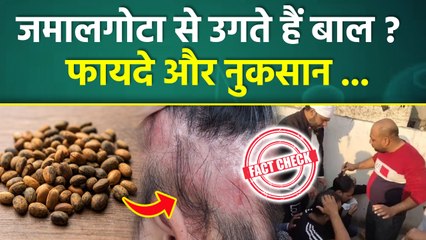 Jamalgota Se Bal Aata Hain Ya Nhi,Benefits & Side Effects | Fact Check | Boldsky