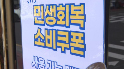 18일 만에 95% 신청...소비쿠폰, 8조7천억 지급 완료 / YTN