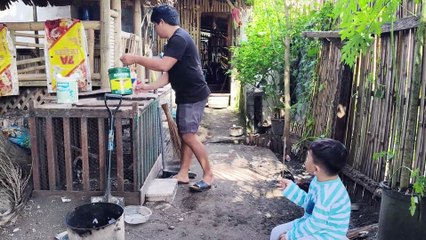 Grey Plays With A Stick