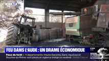 Feu dans l'Aude: un drame économique pour les travailleurs sinistrés