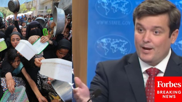 State Department Spokesperson Tommy Pigott Touts '110 Million Meals' Delivered By Gaza Humanitarian Foundation