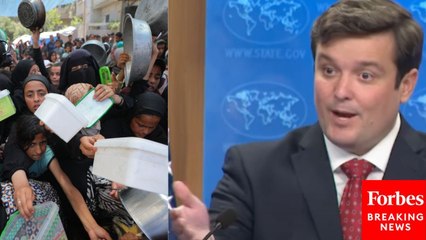 State Department Spokesperson Tommy Pigott Touts '110 Million Meals' Delivered By Gaza Humanitarian Foundation