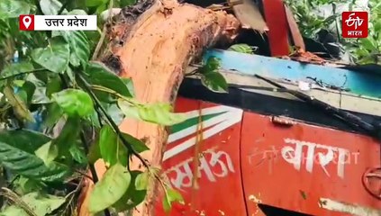 बाराबंकी में चलती रोडवेज बस पर गिरा पेड़, पांच की मौत, मृतकों में दो शिक्षिका, लेखपाल और ड्राइवर भी, सीएम योगी ने जताया दुख