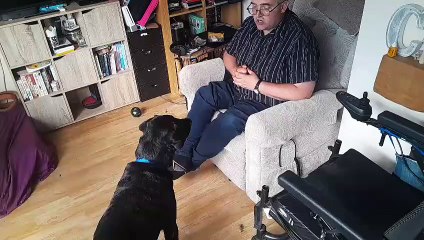 Support Dogs Sheffield: Chris Beddoes asks Charlie to get his keys