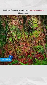 tells the story of a group of survivors of the Oceanic Airlines Flight 815 crash on a remote island in the Pacific Ocean.