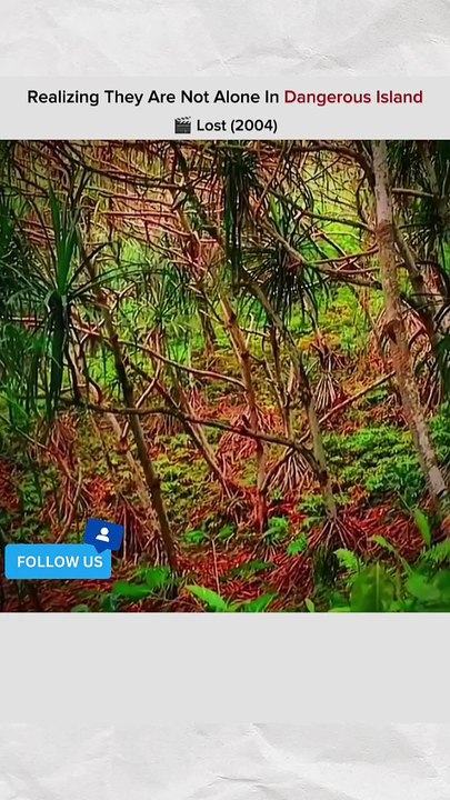 tells the story of a group of survivors of the Oceanic Airlines Flight 815 crash on a remote island in the Pacific Ocean.