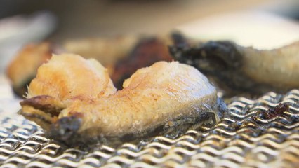 그늘진 외식산업...위기의 프렌차이즈 가맹점주들[오늘 밤 팩트추적] / YTN