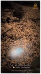 🔥 “Har bade sapne ki shuruaat ek chhote kadam se hoti hai!”Sandeep Maheshwari Ji ka yeh short video aapko apne sapne pura karne ka junoon dega 💯💫 Like, Share aur Follow📲 Stay Connected:🔸 Telegram: bit.ly/4fzW70l🔸 YouTube: bit.ly/41hAV9c