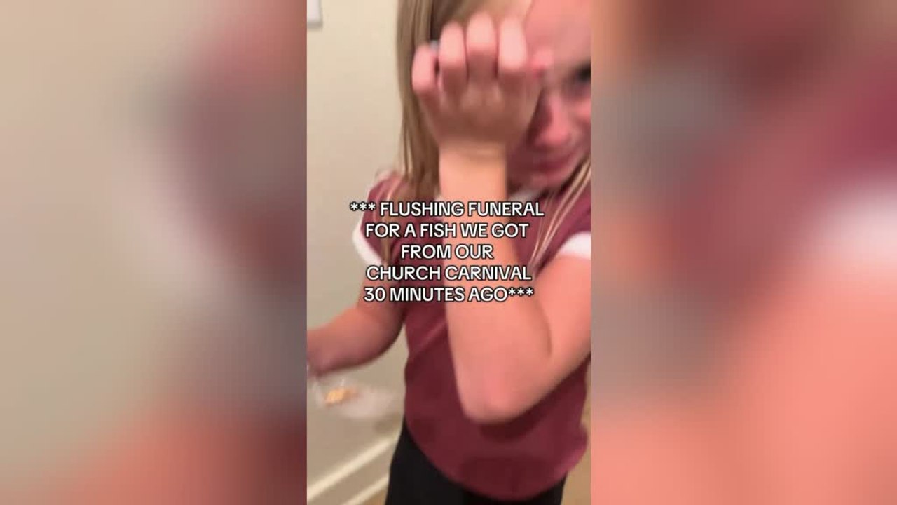 Sibling Flushes Pet Fish Mid-funeral