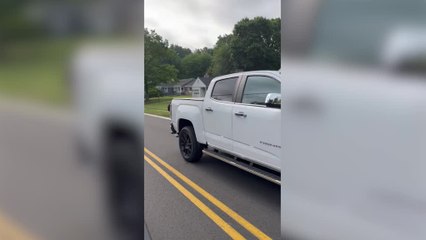 Huge Fight Between Bears on American Street