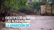 Los científicos activan todas las alertas por la aparición de cianobacterias en uno de los mayores ríos de España