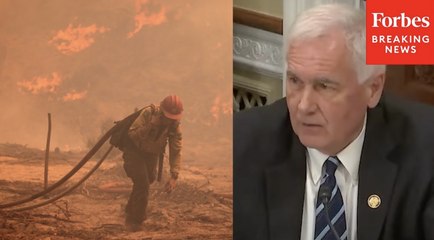 Tom McClintock Touts Bill Requiring Forest Service To 'Aggressively' Attack Wildfires At First Sight