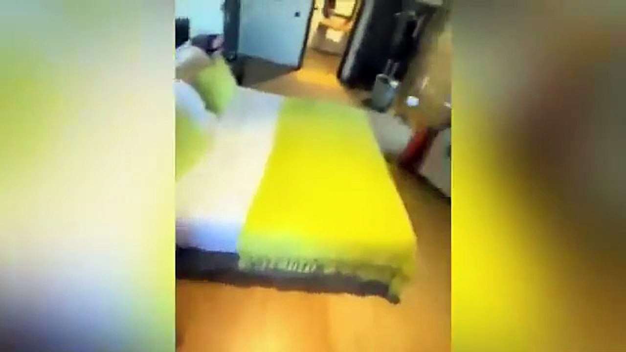 Hanno affittato la casa di notte, ma la mattina hanno capito perché non cera rumore!!