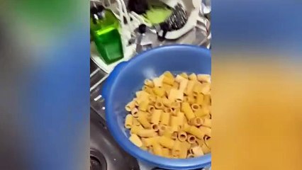 HANNO FATTO UNA SCORTA DI PASTA IN OFFERTA, MA QUALCHE GIORNO DOPO GUARDATE CHE TROVANO IN DISPENSA!