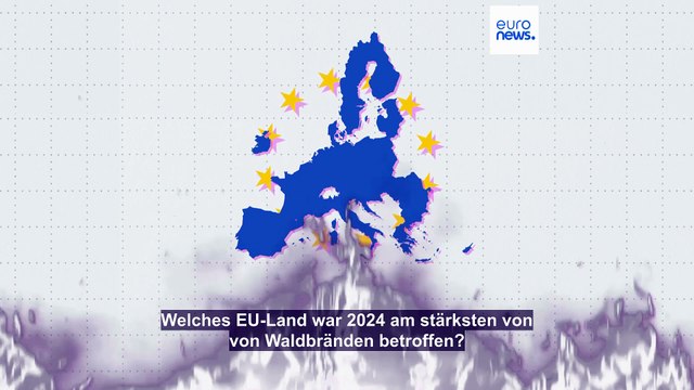 Welches EU-Land war 2024 am stärksten von Waldbränden betroffen?