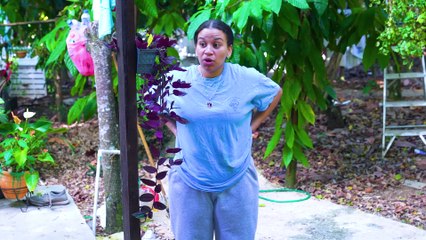 Fue La mujer del proceso y esto paso   LOS SOCIOS SOY