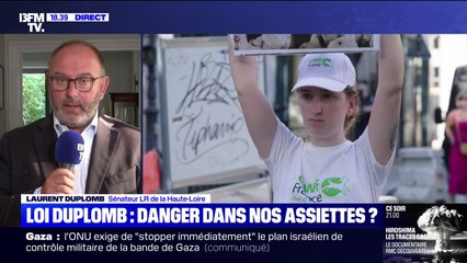 Loi Duplomb: "La censure de l'article 2 est paradoxale", déclare Laurent Duplomb, sénateur LR de la Haute-Loire et auteur de cette loi