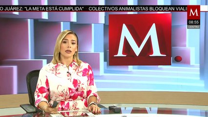 Rusia: Putin asegura reunión con Trump y considera diálogo con Zelensky