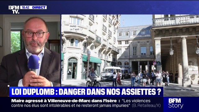 Loi Duplomb: Nous serons dans une situation de concurrence déloyale , estime Laurent Duplomb, sénateur de la Haute-Loire (LR)