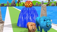 Long Slide Game With Cow Elephant Gorilla Hippopotamus Tiger - 3d Animal Game - Funny 3d Animals