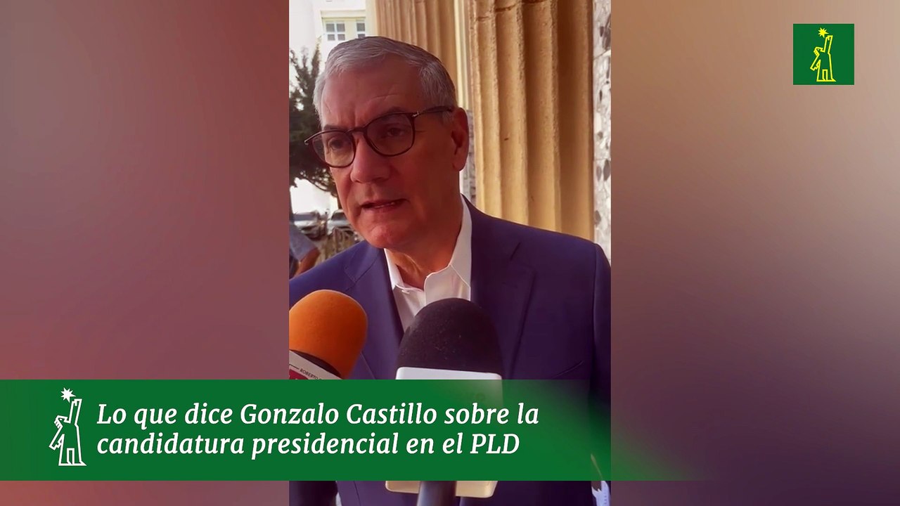Lo que dice Gonzalo Castillo sobre la candidatura presidencial en el PLD