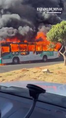 Ônibus do transporte público de Uberlândia é destruído por fogo