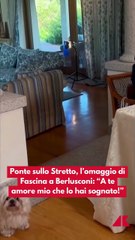 Ponte sullo Stretto, l'omaggio di Fascina a Berlusconi: "A te amore mio che lo hai sognato"