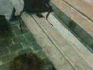 FK crew le vendredi après midi (suite)