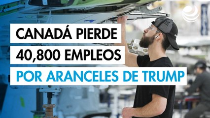 Canadá pierde 40,800 empleos en julio por los aranceles de Trump que afectan la contratación