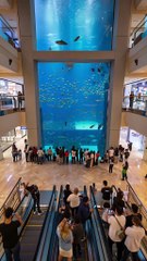 The aquarium test didn’t go as planned — a massive splash of water burst out and soaked the crowd