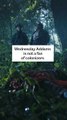 Wednesday Addams Is NOT a Fan of Colonizers