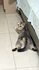 Mira mira ya hora no estoy 😽✨