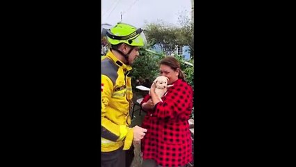 Muro desaba sobre residência e mata animal de estimação em Chapecó