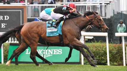 Analyzing Key Contenders in the Secretariat Stakes