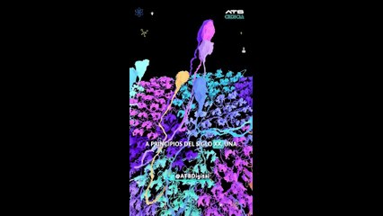 ATBCIENCIA - Una mosca con ojos blancos que revolución o la genética
