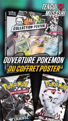 Ouverture du Coffret Poster de Pokémon Noir Etincelle & Flamme Blanche #3
