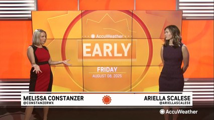 Endangered turtle that was rescued from the cold returns to the wild