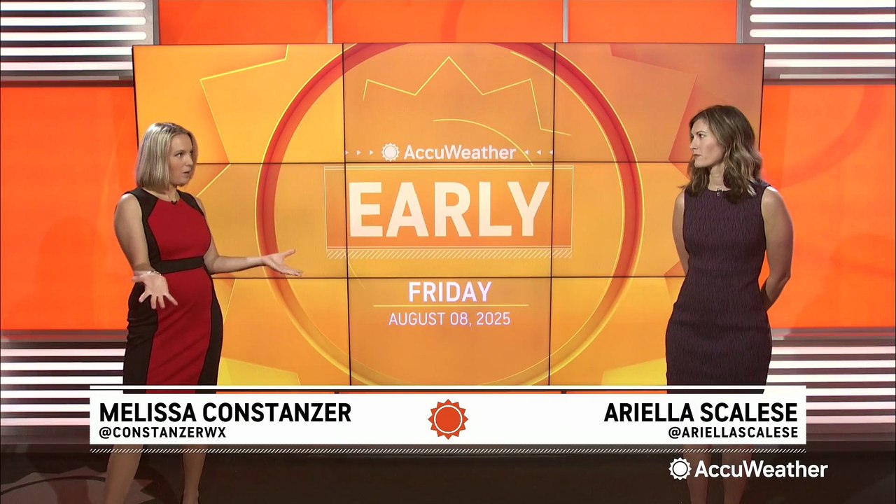 Endangered turtle that was rescued from the cold returns to the wild