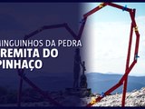 Dominguinhos da Pedra: o eremita do Espinhaço 